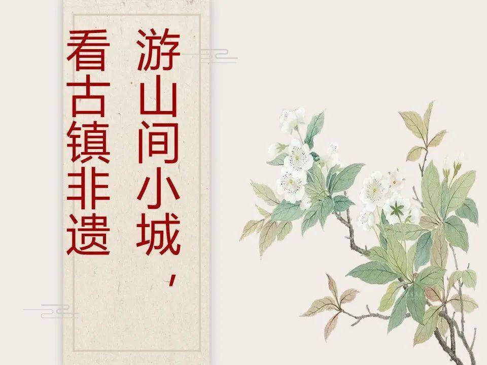 文化_畲族_麗水