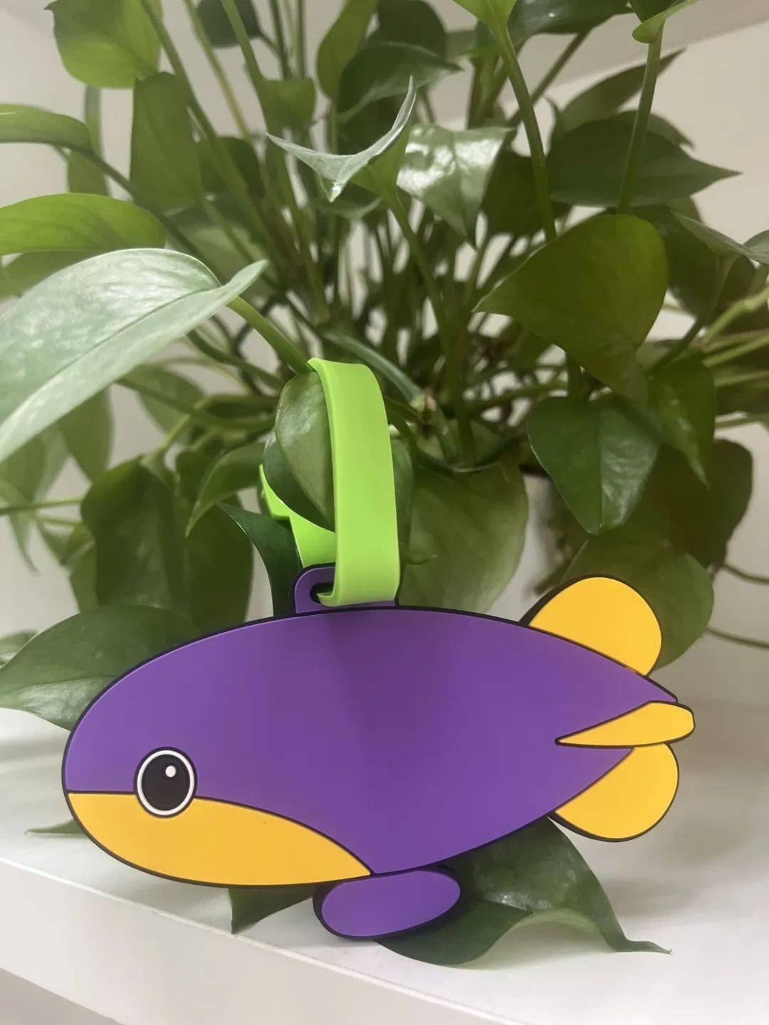 门票 森林探险漂流 七彩滑道 萌宠乐园 森林剧场福利数量:200份南丹山