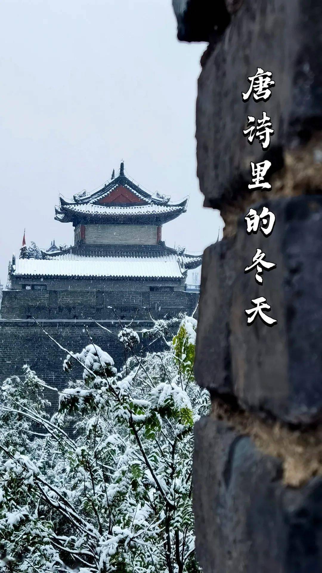 唐詩裡的冬天丨一首雪月花詩,一曲冷暖人間_城牆_李白_唐長安城