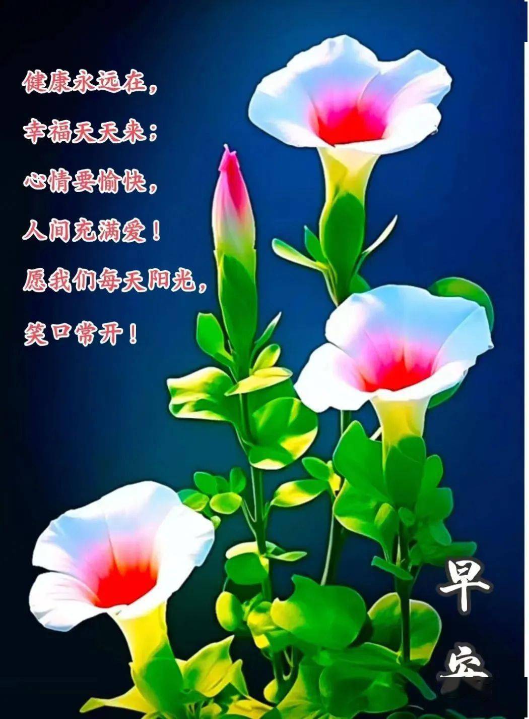 今日最新早安早上好精选,相互牵挂,祝福无价