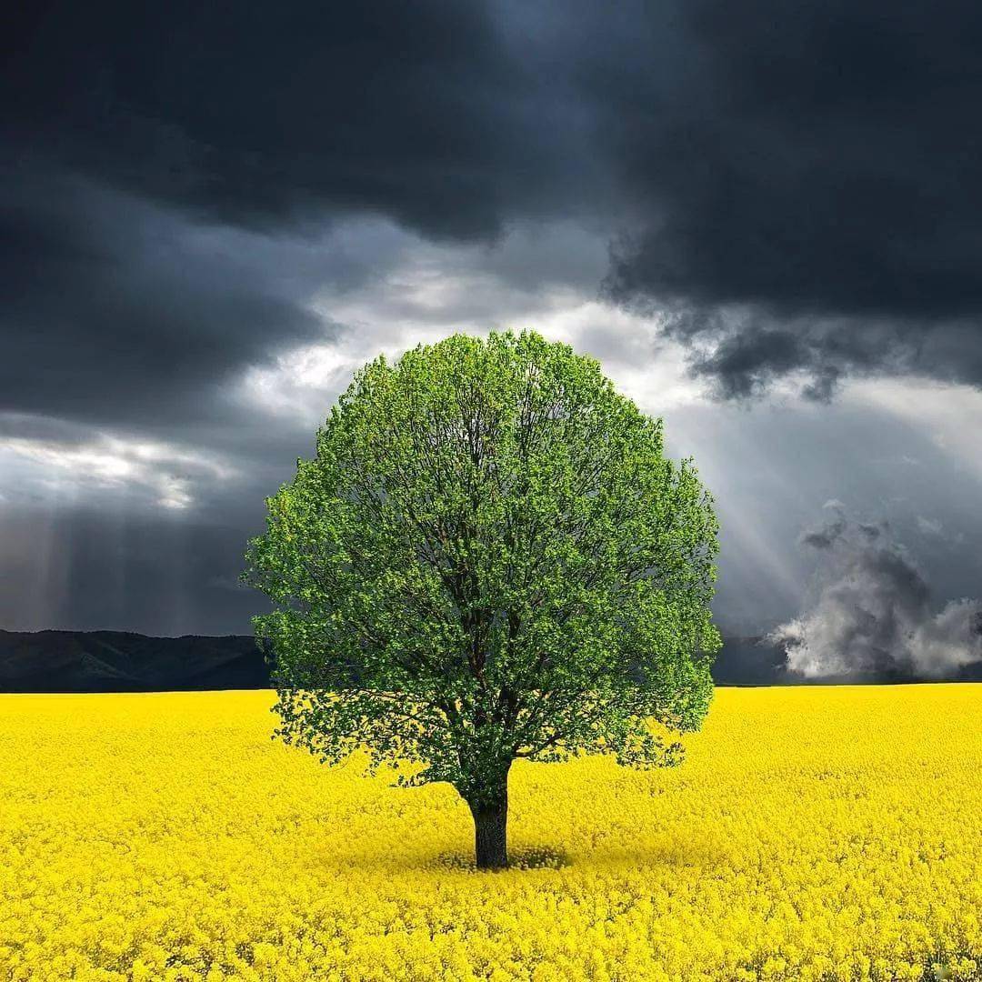 photo_by_澳大利亚