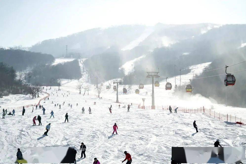 冰天雪地,"火"了_旅游_亚布力_雪场