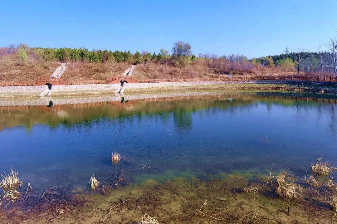 昔日"臭水沟"破茧化蝶 成为居民的亲水乐园_龙泉河_生态_大灰厂村