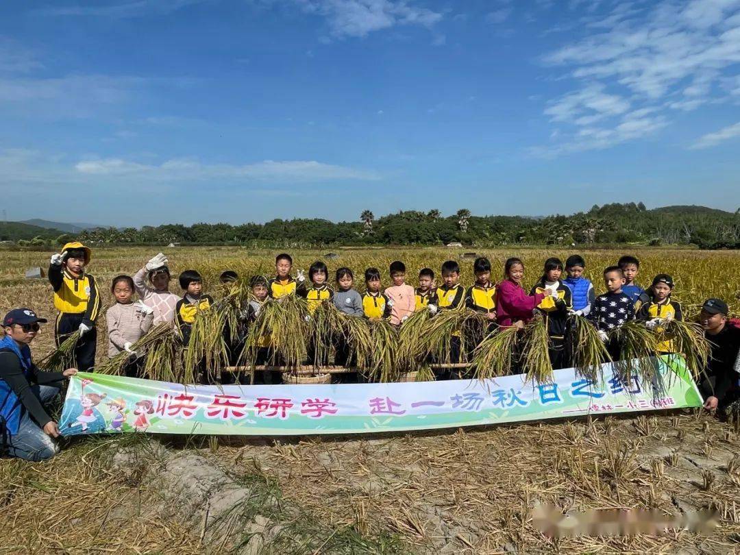 【陽光校園 活力一小】快樂研學,赴一場秋日之約_勞動_美味_豆腐花