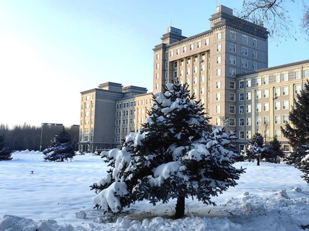 哈尔滨师范大学堆雪人大赛