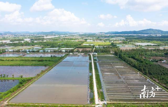 广州市花都区炭步镇塱头古村,是广东首批中国历史文化名村.