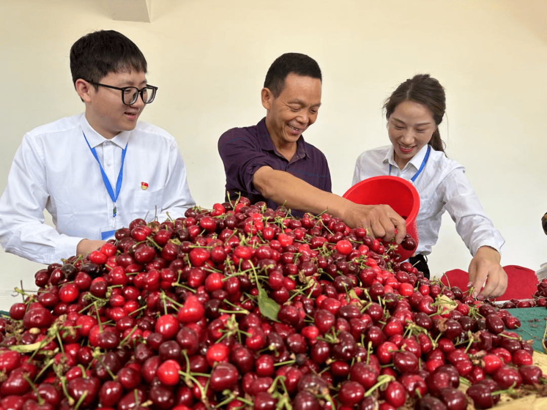 特色生态旅游示范镇和创客示范基地名单,洛阳市新安县磁涧镇李子沟村