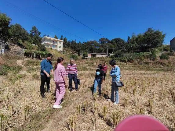 "科创驱动"让老区产业装上新引擎——南安市向阳乡稻螺综合种养试验