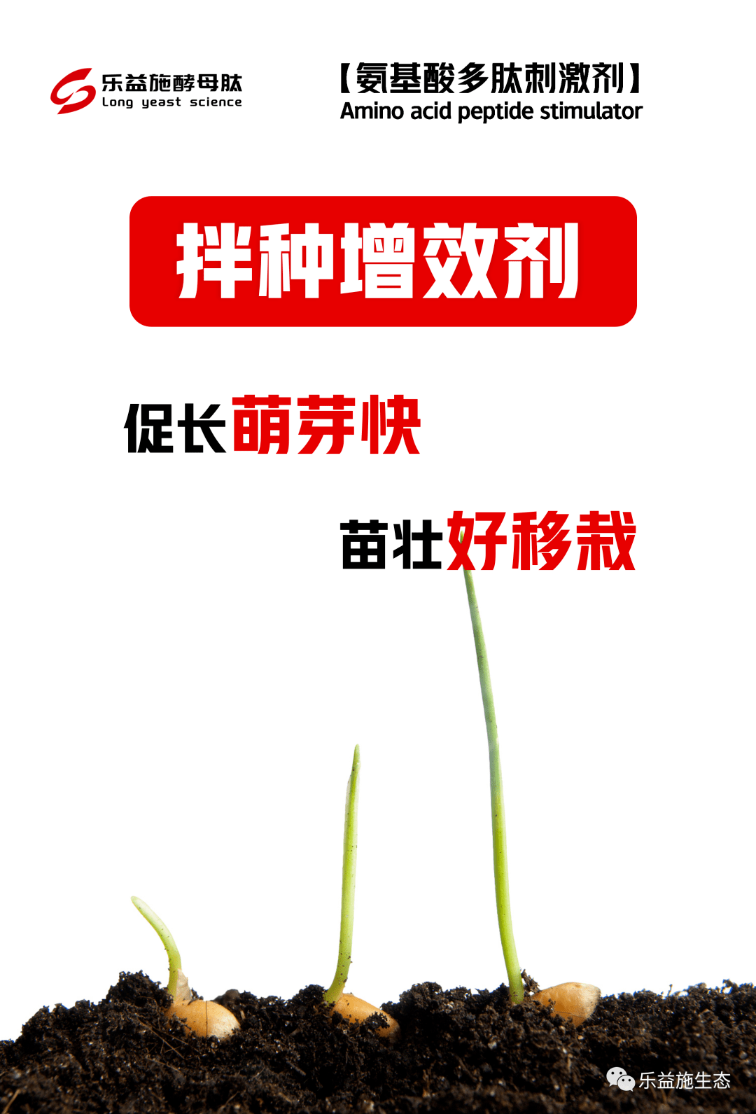 酵母肽拌种增效剂-小麦拌种萌芽试验数据分享(平板水培)_处理_种子_方法