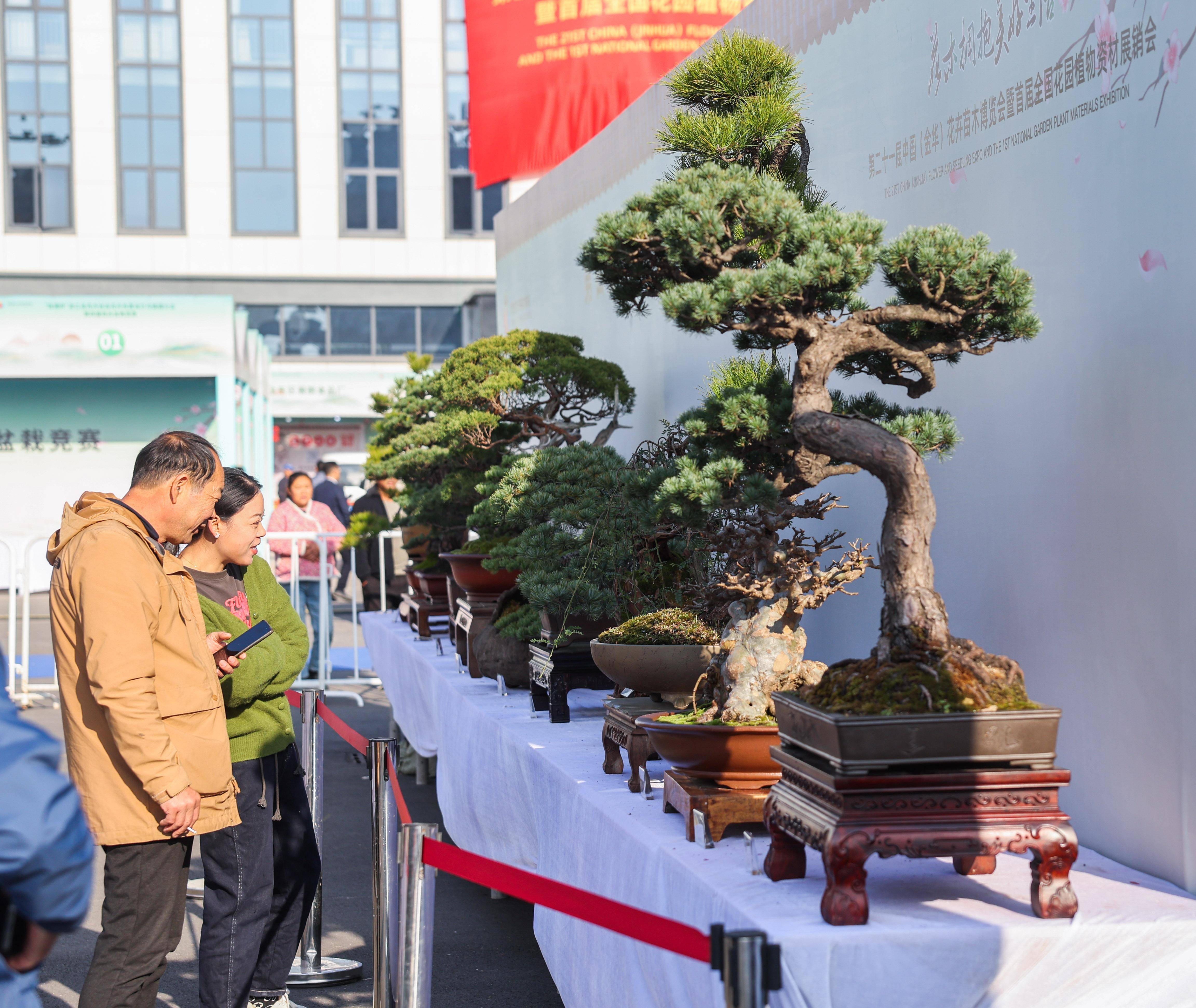 金华澧浦花木城集市图片