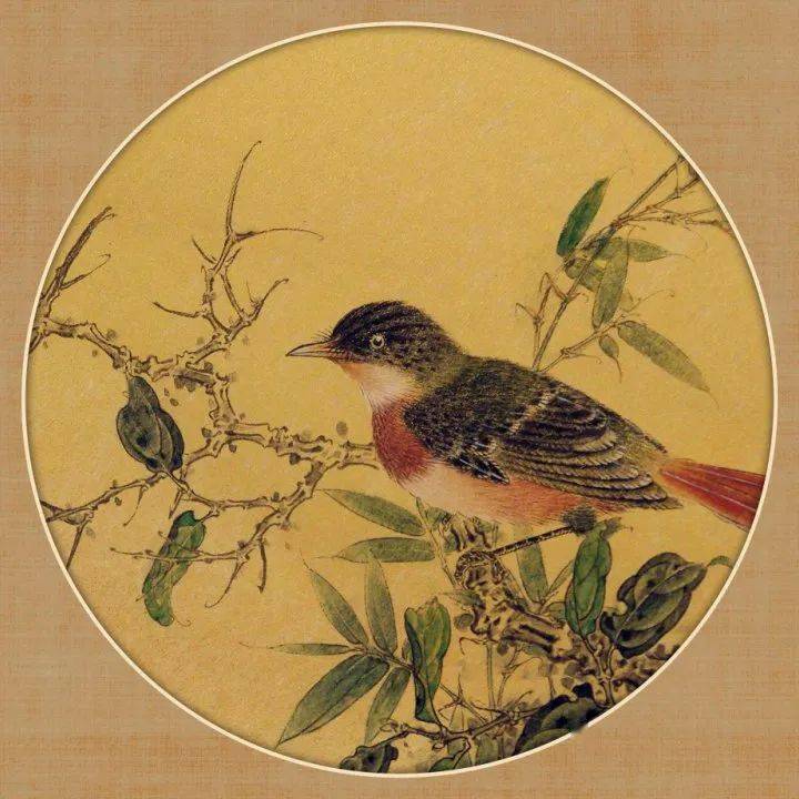 【国画天地】赏析|新中式工笔花鸟圆卡系列_中国_艺术_形式