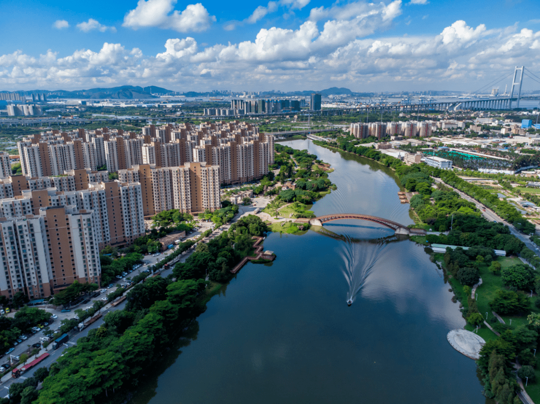 东莞人心目中的"十大生态公园"_湿地_城市_park