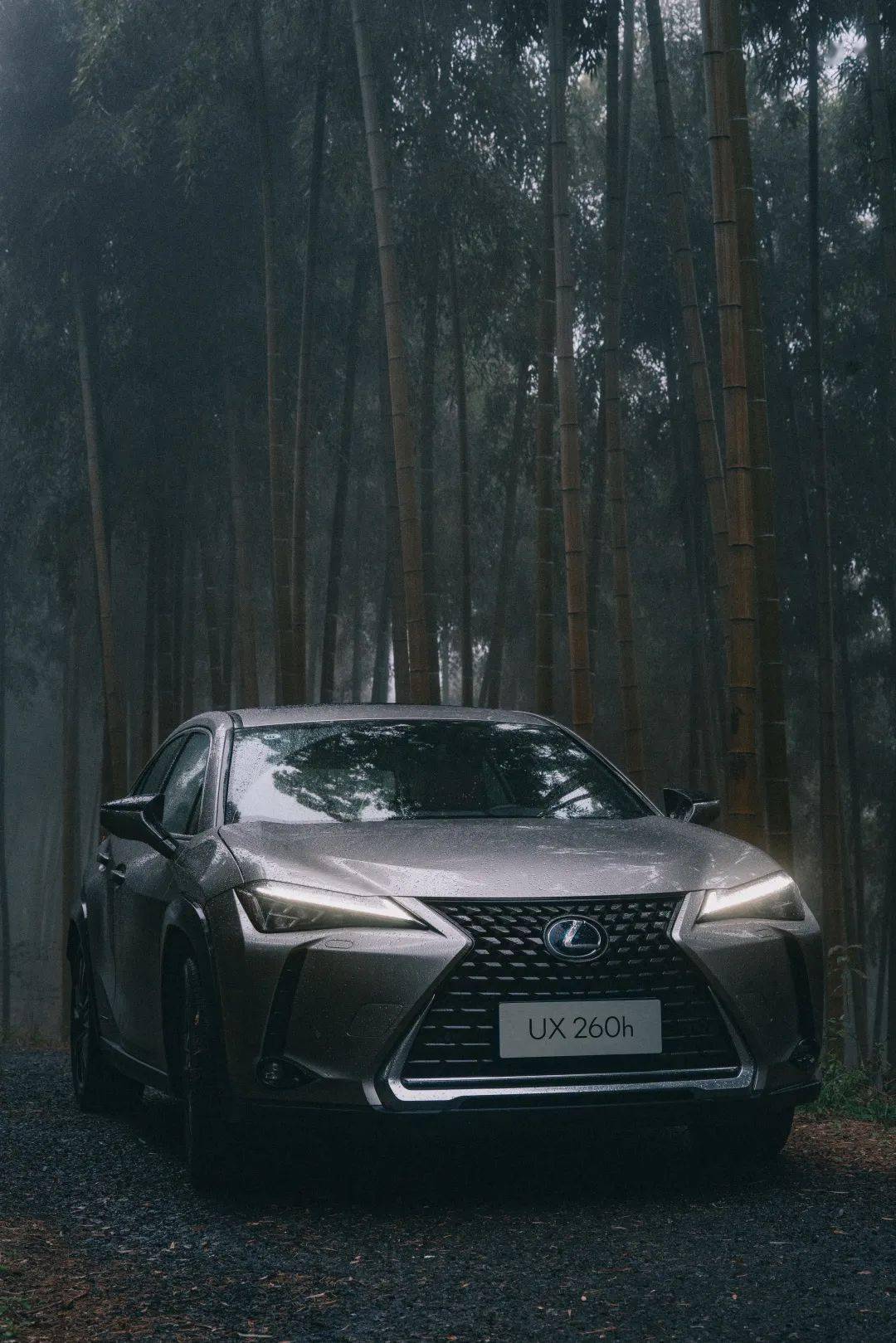 雷克萨斯ux260h丨一辆开起来比看起来更优秀的车~_搜狐汽车_搜狐网