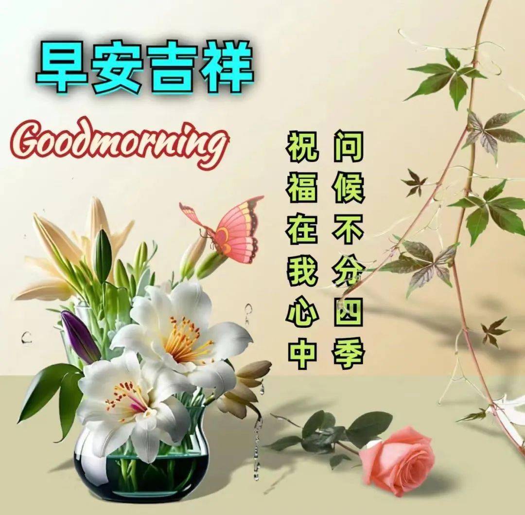 问候_祝福_李小托