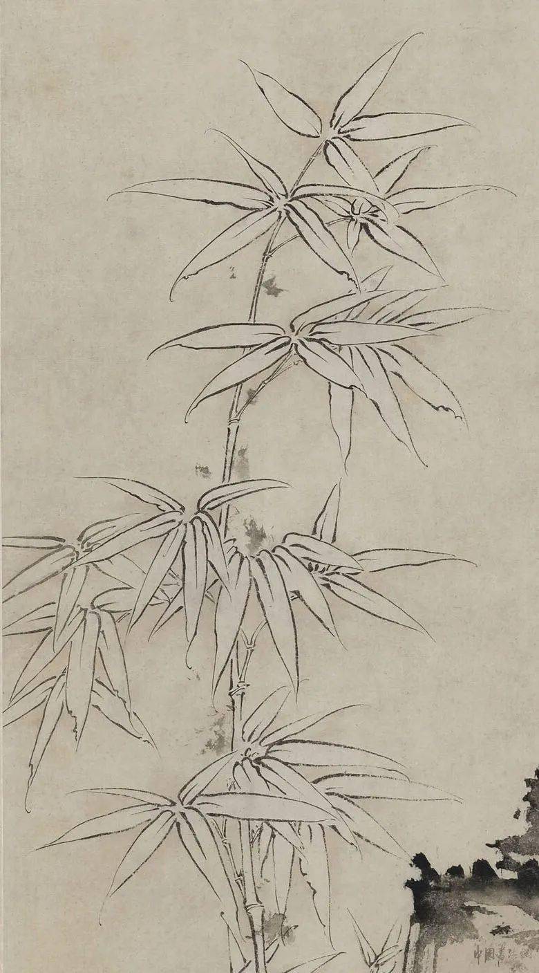 赏画| 罗聘《竹石图》_双钩_版权_内容