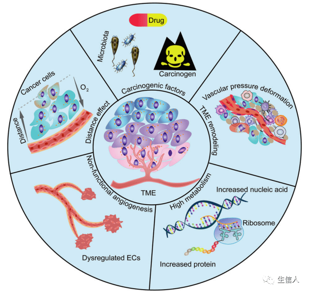 癌细胞_通路_肿瘤