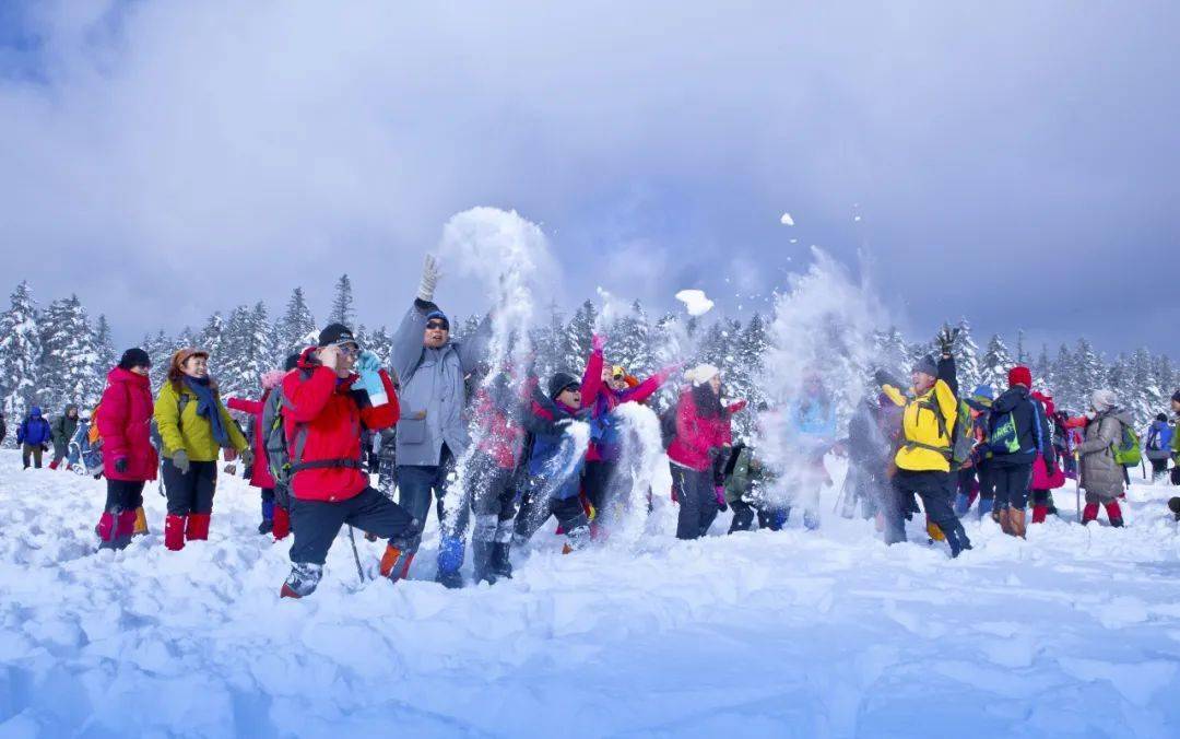 长春冰雪嘉年华门票图片