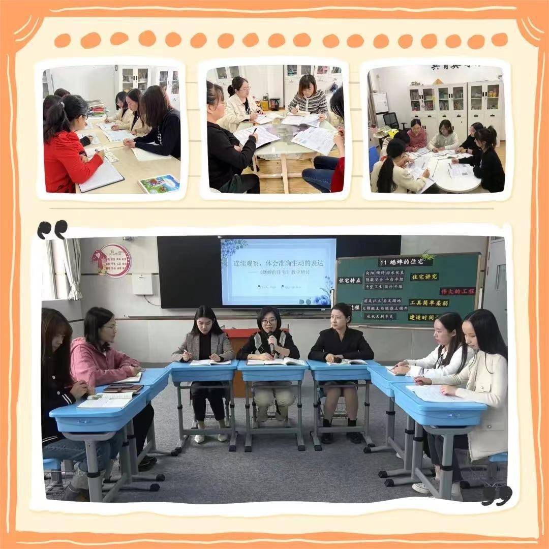 一师附小崇明区江帆小学:合力齐摇橹,文明溢校园_教育_活动_主题