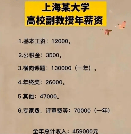 要有個人能力,沒能力的大學教師,也只能掙基本工資和年終獎金以及保險