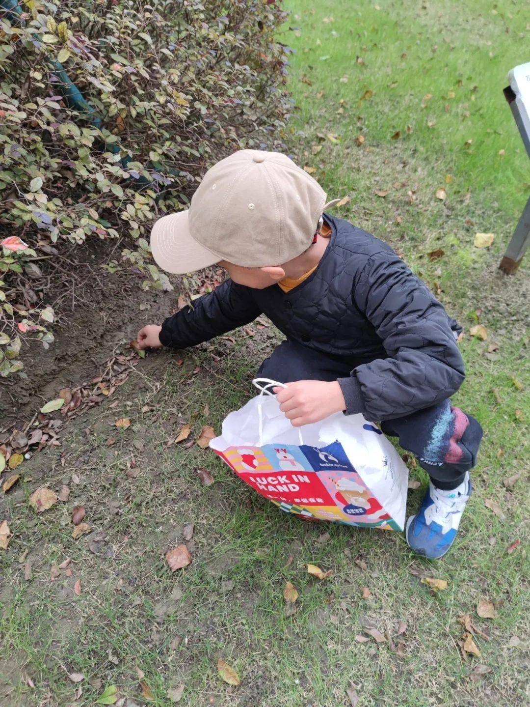 【通州实小·课程建设】通州实小"蕊春四季风·秋日探索"项目化学习一