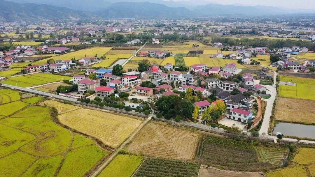 古港镇获评省乡村旅游重点镇(长沙唯一),宝盖寺村,文家市村获评省乡村