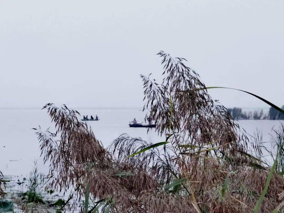 衡水湖被確定為人與生物圈自然教育基地試點_中國_保護區_溼地