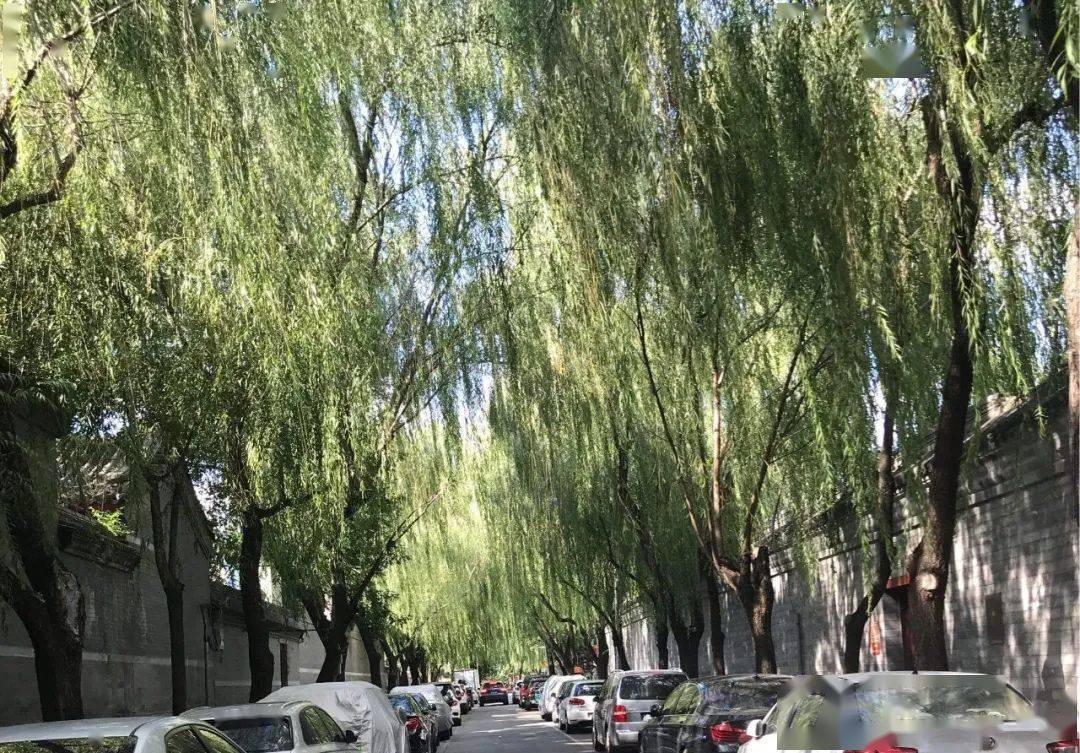 柳荫街源何称作"军民文明街"_袁满囤_李广_什刹海