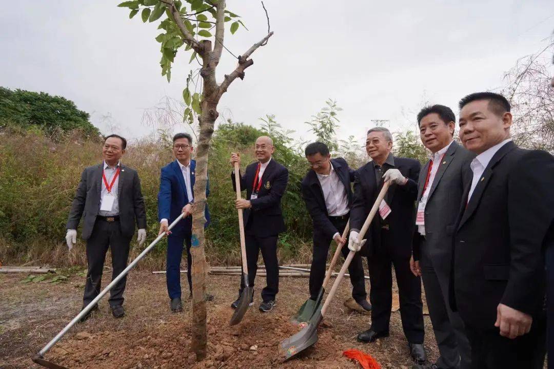 时政要闻 | 王楚彬会见泰国澄海同乡会访问团_家乡_发展_双方