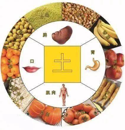 《名医在线》:养护脾胃 健康长寿_功能性_人体_饮食