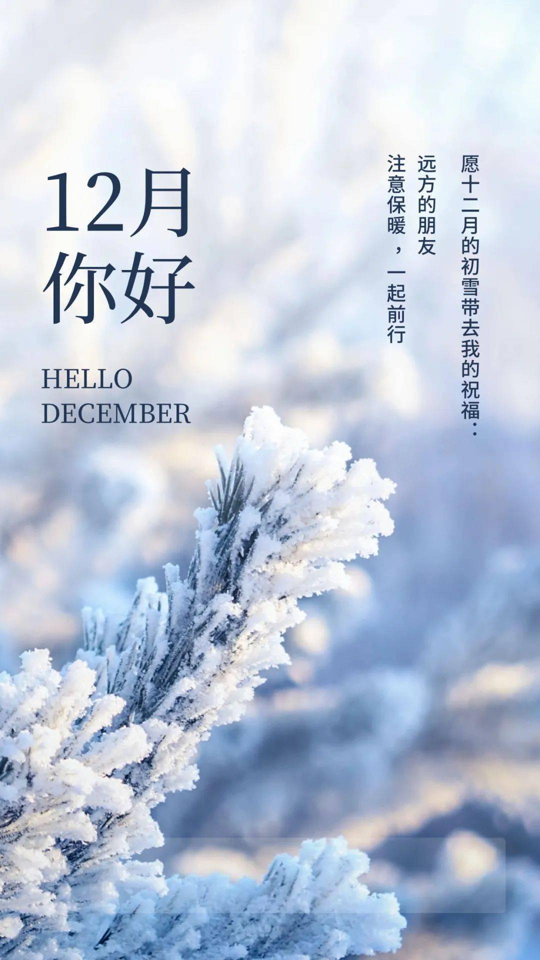 12月最新正能量图片文案短句_时光_生活_未来的