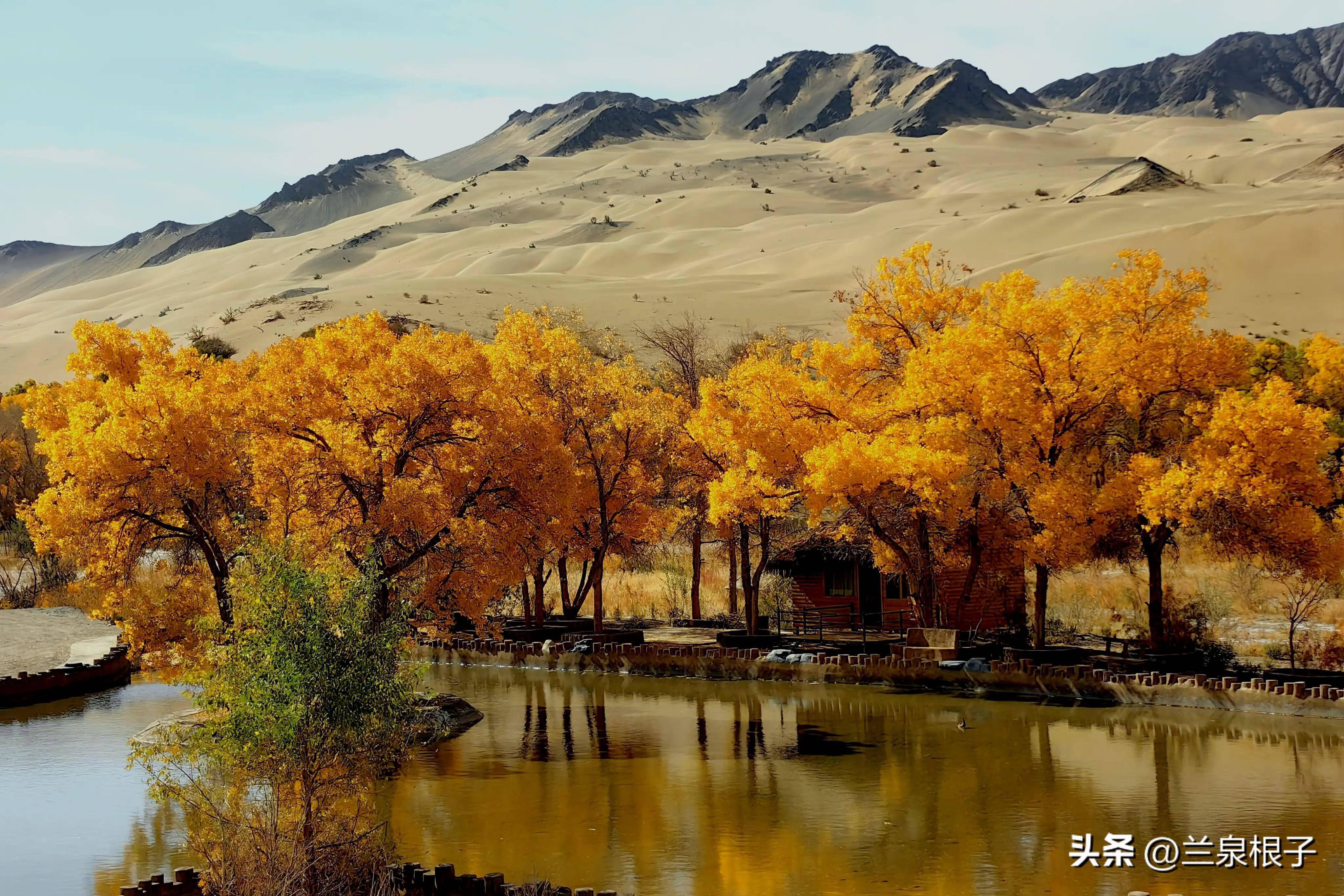 秋天的酒泉阿克塞多坝沟胡杨峡景区原生态风景美如画卷