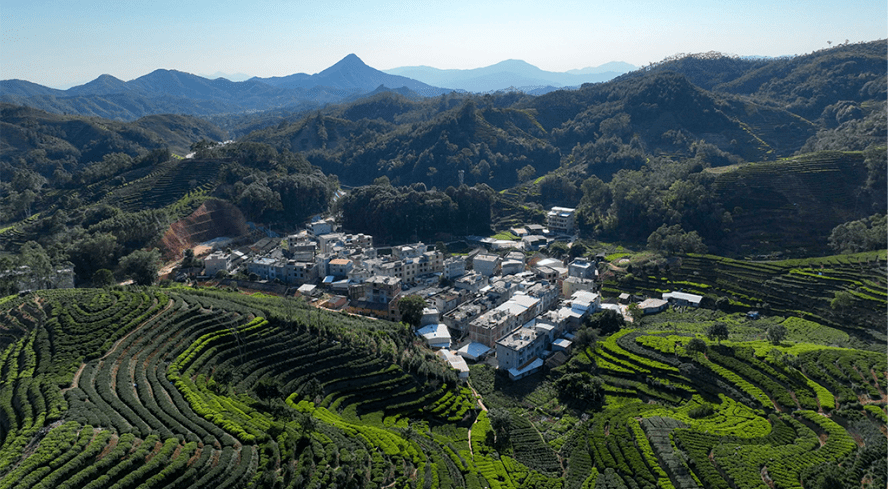 2023年广东省森林城镇——建饶镇_饶平县_建设_生态