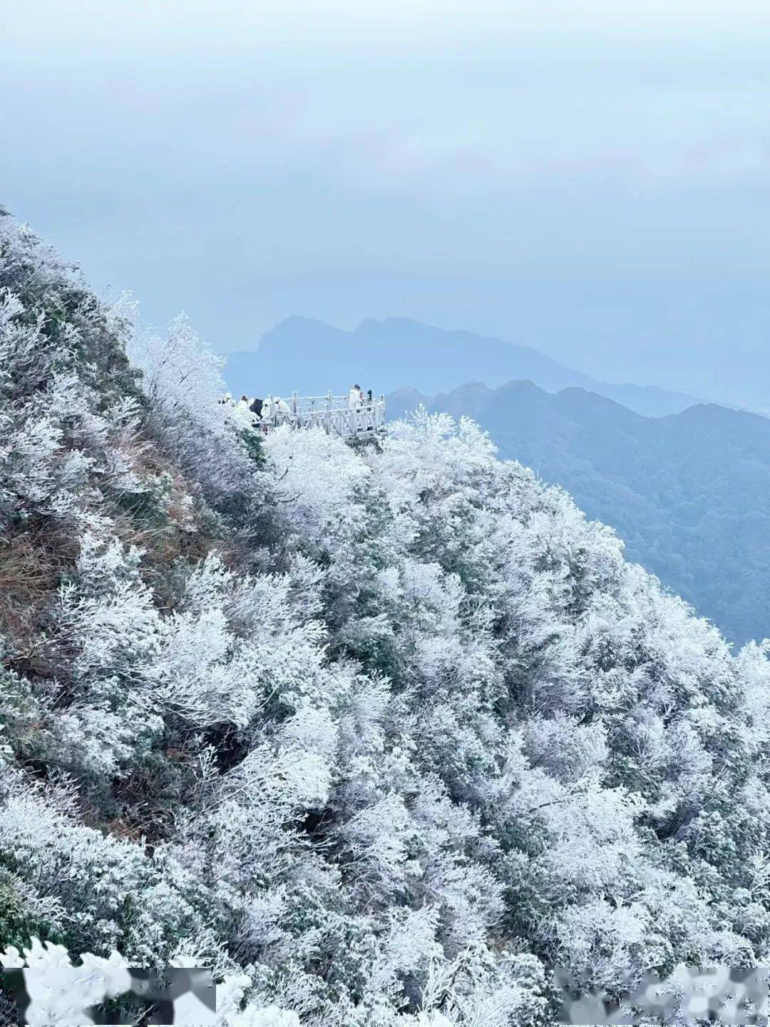 山橄榄大峡谷图/公众号@南宁大明山风景旅游区大明山位于南宁武鸣区