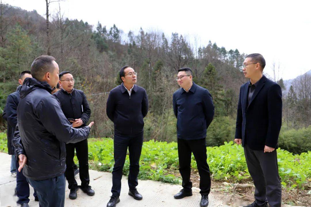 县政府副县长肖兴旺一同调研.