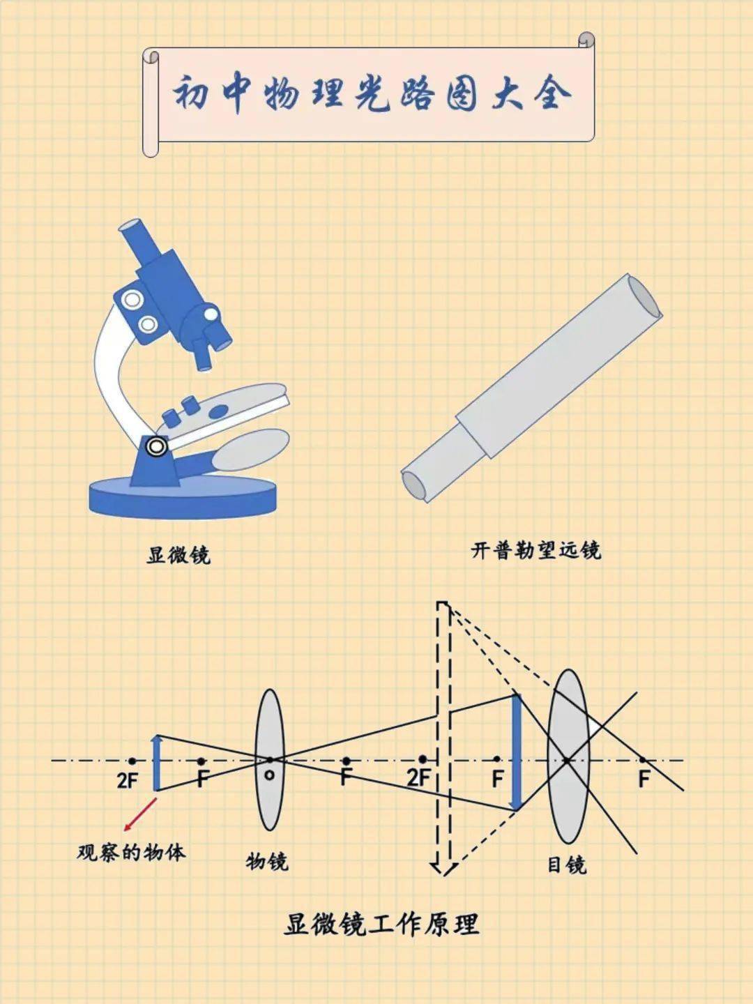 显微镜成像特点图片