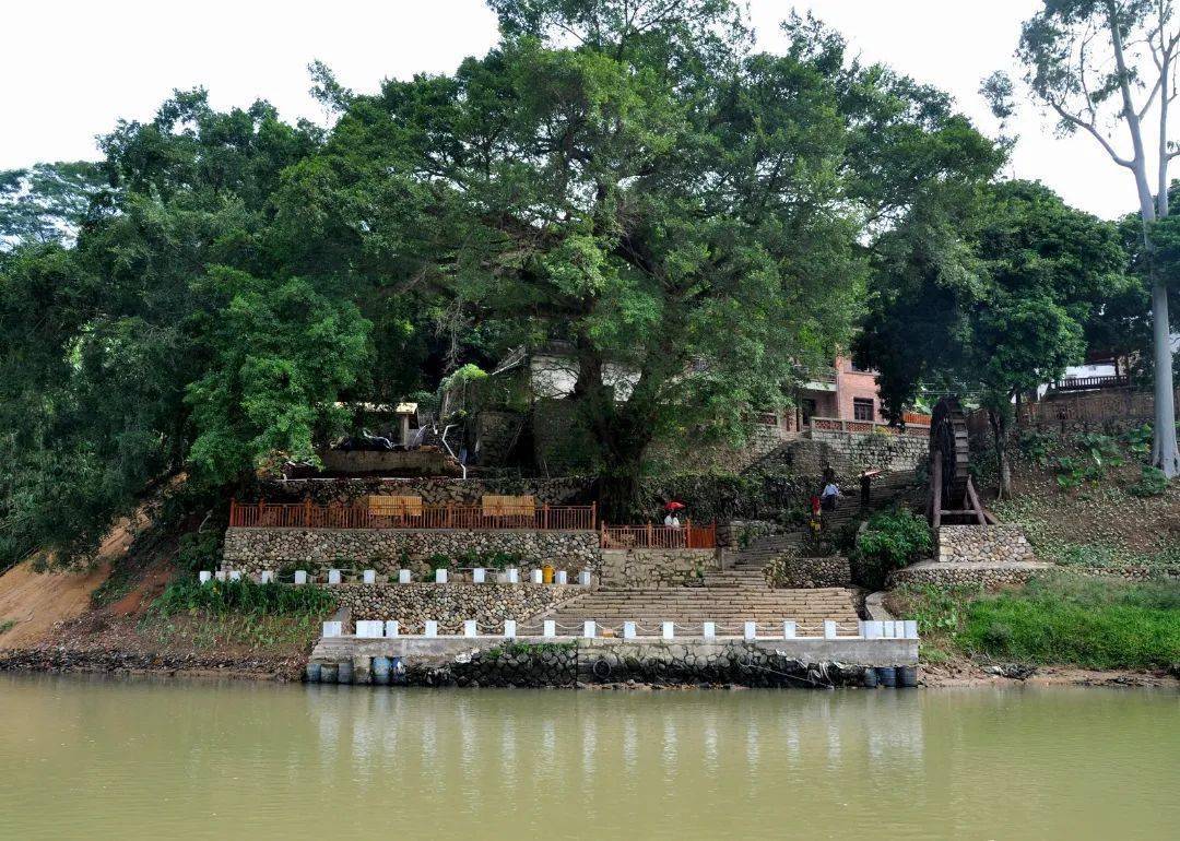 2023华安土楼马拉松赛"拍了拍"你~沿途美景一键get!_秋千_景区_文化