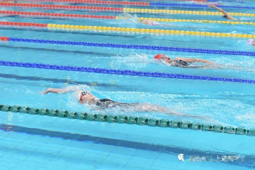 山东省游泳队图片