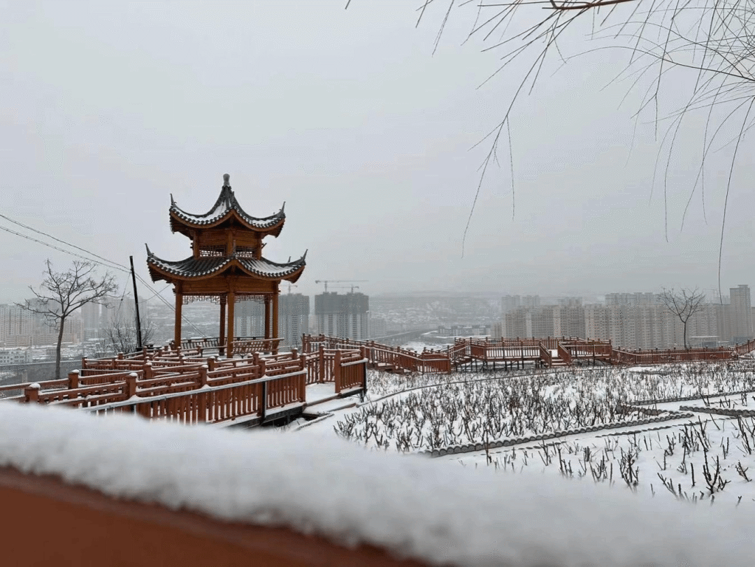 清水七條精品旅遊線路邀您打卡……_景區_軒轅_康養