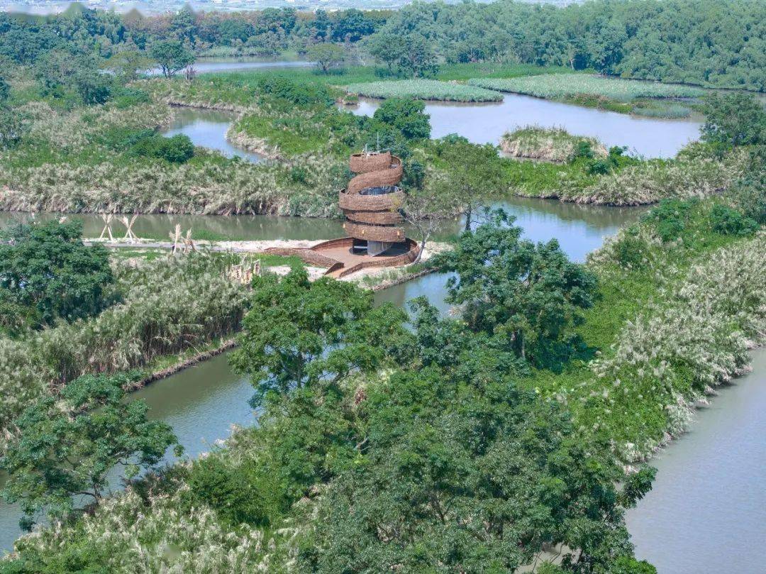 湿地介绍 | 探寻南沙湿地的观鸟艺术竹构_景区_结构_游客