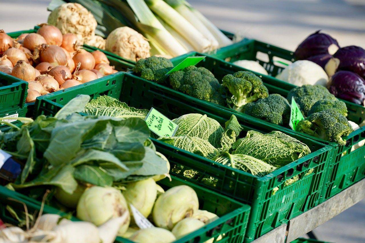 白菜卖出"白菜价",官媒发声:须防"菜贱伤农"_蔬菜_价格_农贸市场