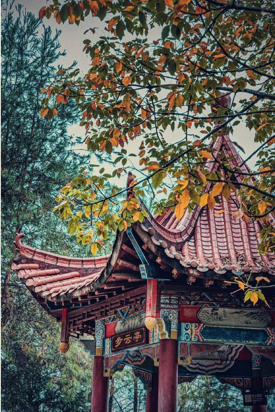 岑溪东山公园里的步云亭  小红书@吾叶断秋,▲灯火辉煌的樟木古街