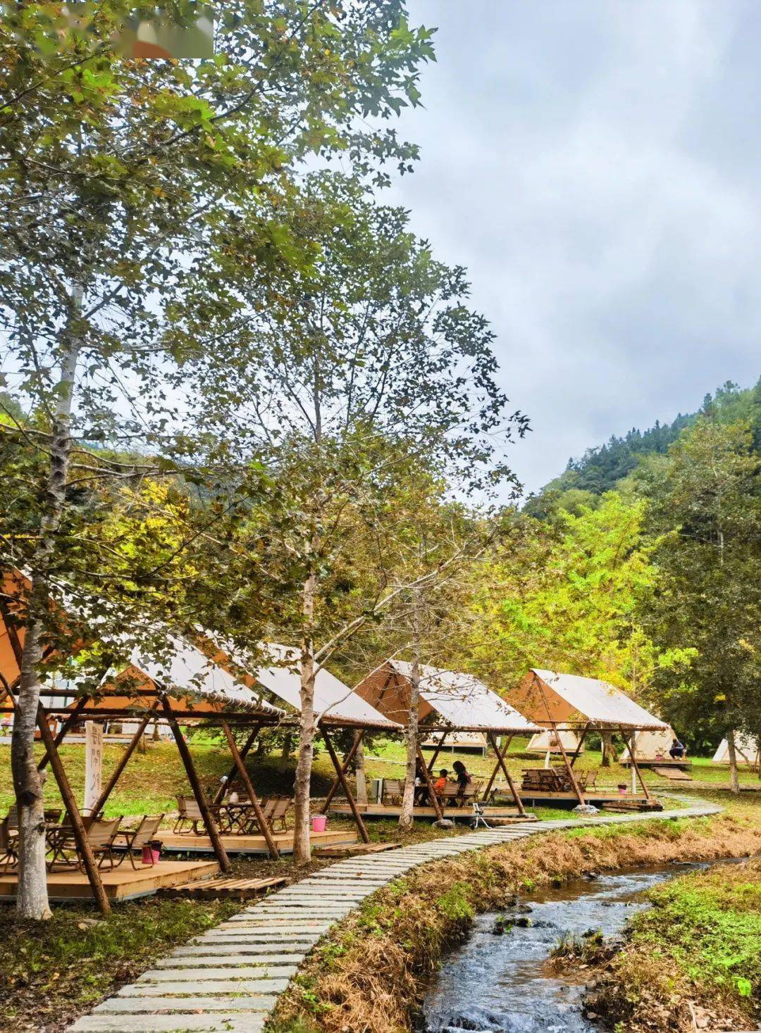 入住韶关这些精品民宿免费送帽子峰门票