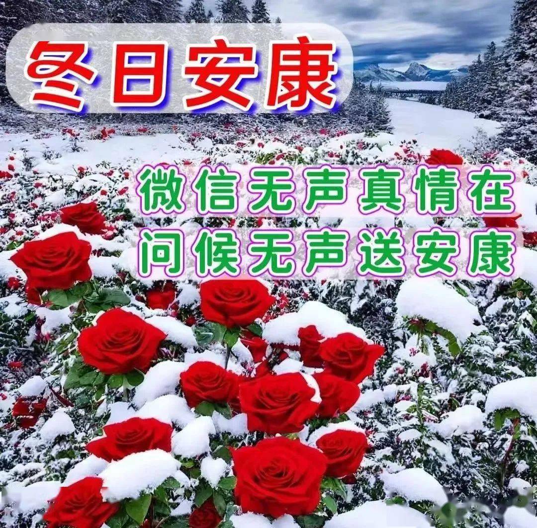 大雪将至,祝您冬日安康!