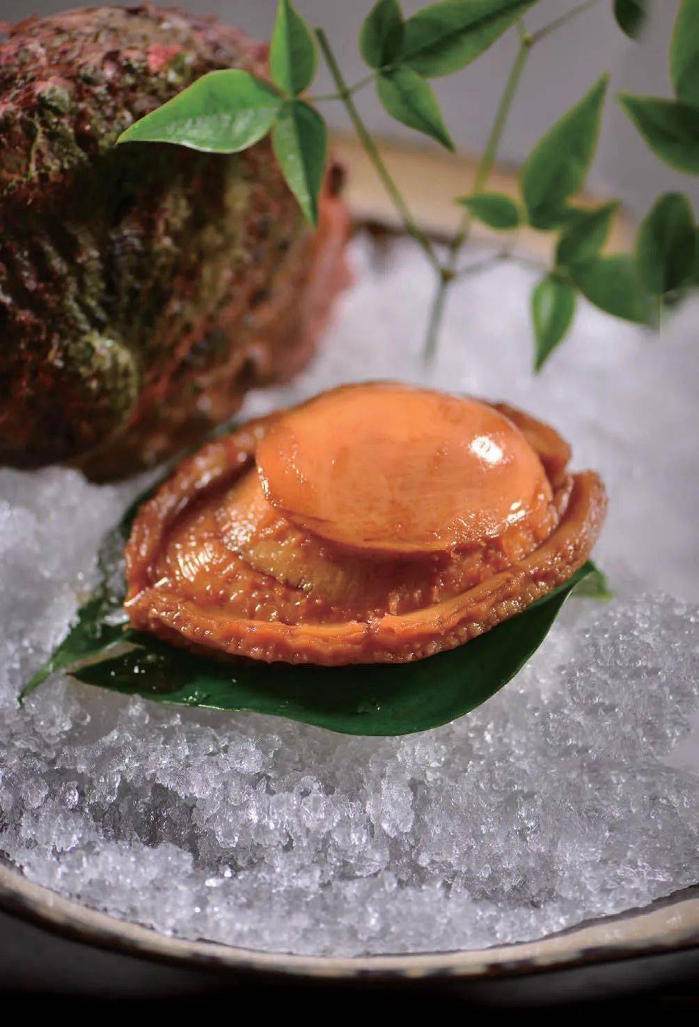 上海晶采轩餐厅精致菜品_管理_雪花_招牌