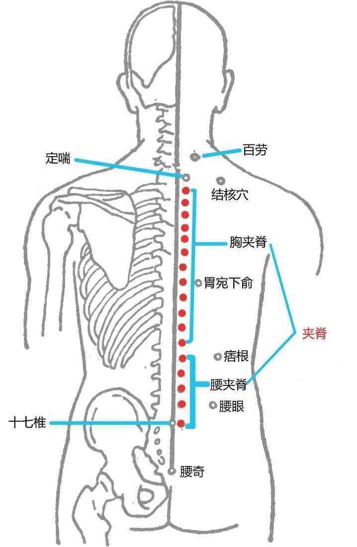 一套神奇的手法,按穴位找痛点,就知道病在哪里(建议收藏学习)