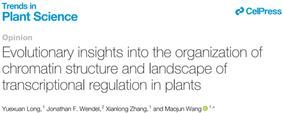Trends in Plant Sci | 华中农大张献龙院士团队提出植物转录调控演化研究的新观点!_结构_基因_变异