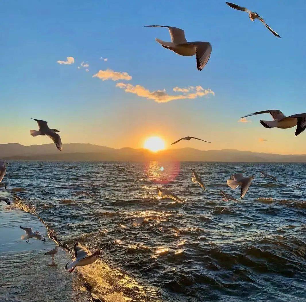 治愈文案|让人秒赞的朋友圈短句文案_自由_首选_生活