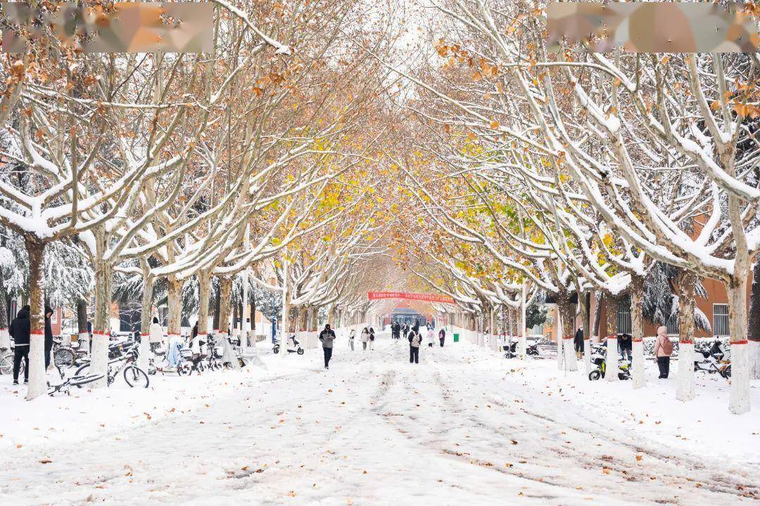 河北民族师范学院雪景图片