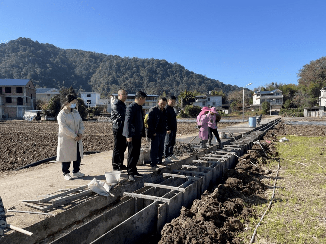 童坊镇,卫健局,四都镇_项目_企业_建设