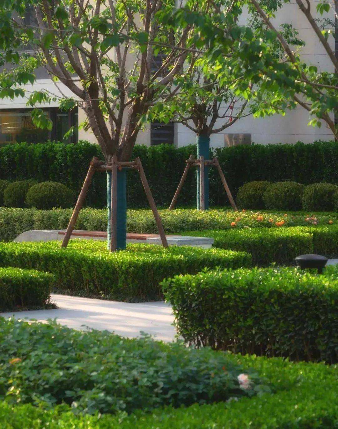 甲方爸爸:组团花园,再提升一下价值卖点!_空间_绿化_活动